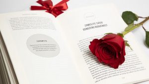 Elegant red rose on an open book with a red ribbon, symbolizing romance and literature.